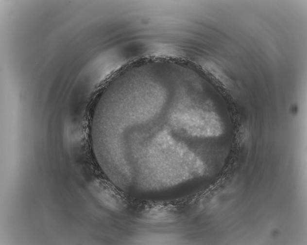 X0000095540824200712211345