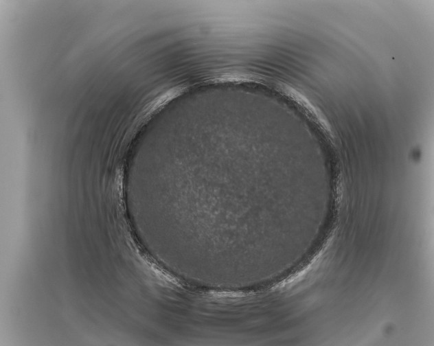 X0000095540825200712211345