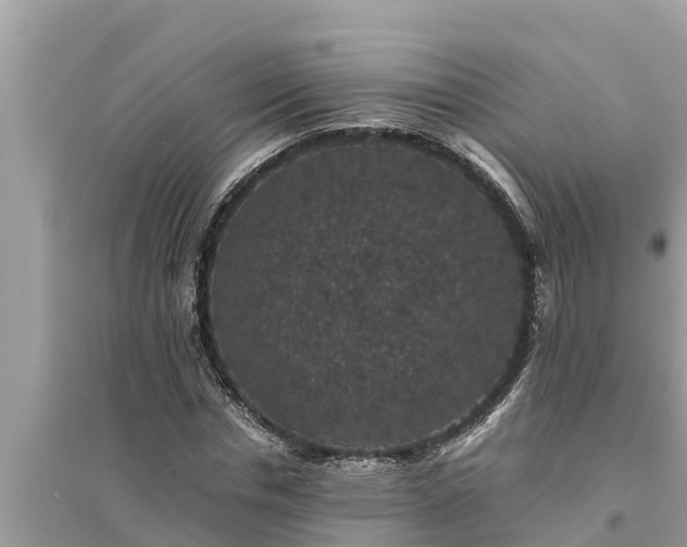 X0000095540826200712211345