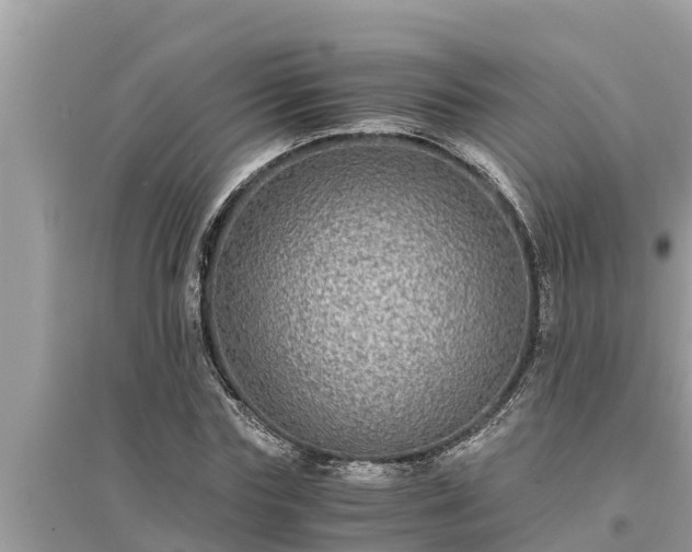 X0000095540827200712211345