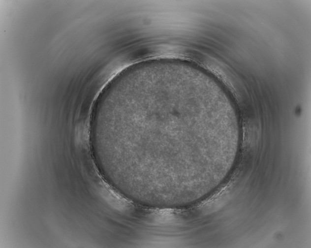 X0000095540828200712211345