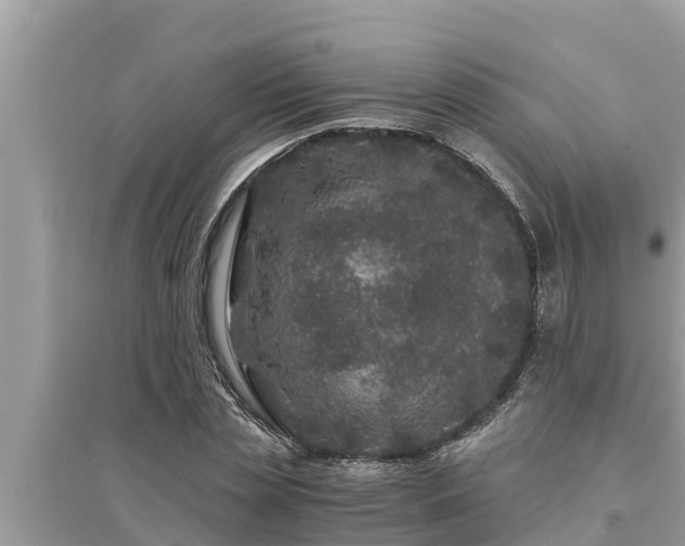 X0000095540829200712211345