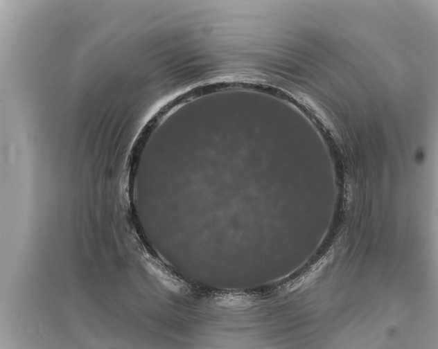 X0000095540830200712211345