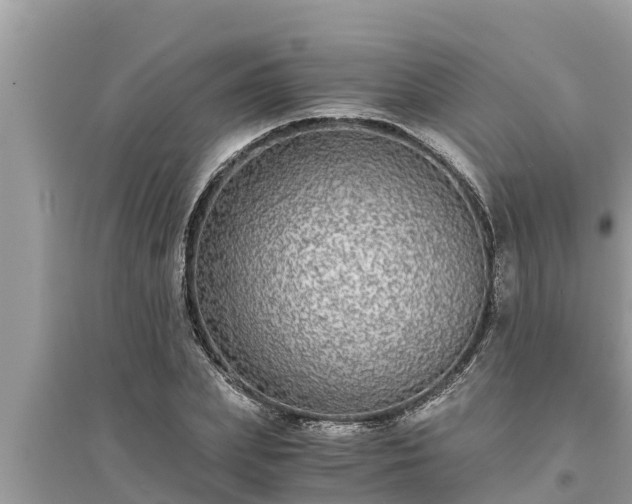 X0000095540831200712211345