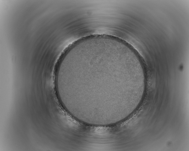 X0000095540832200712211346