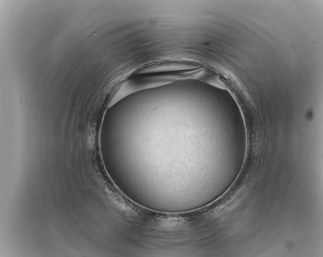 X0000095540833200712211346