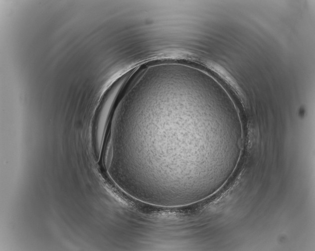 X0000095540834200712211346