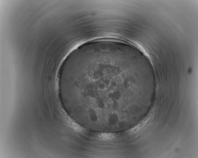 X0000095540835200712211346