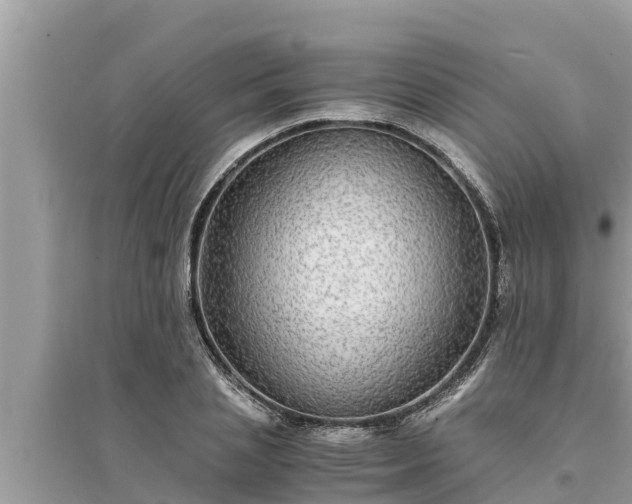 X0000095540837200712211346