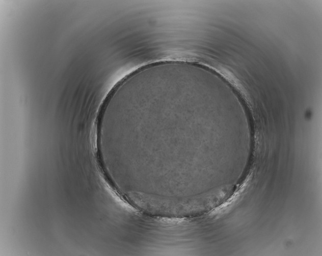 X0000095540838200712211346