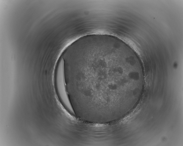 X0000095540839200712211346