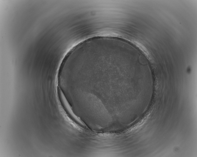 X0000095540840200712211346