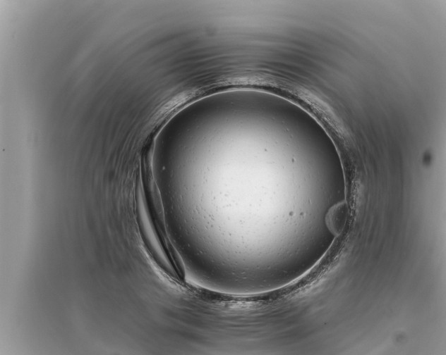 X0000095540841200712211346