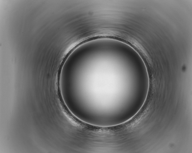 X0000095540842200712211346