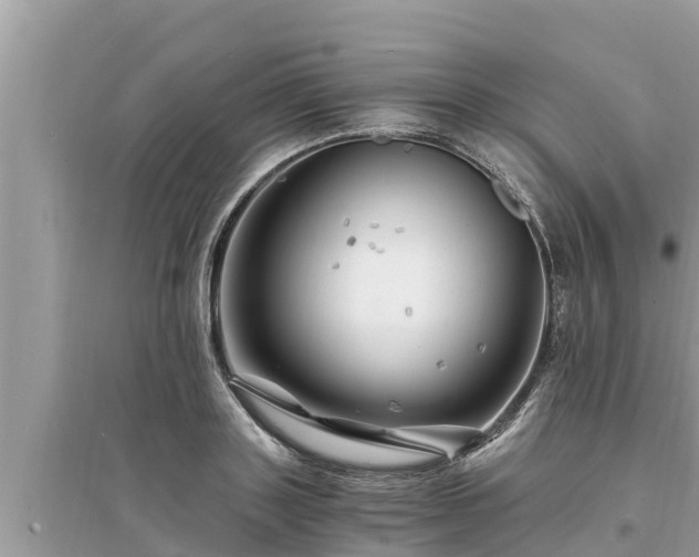 X0000095540843200712211346