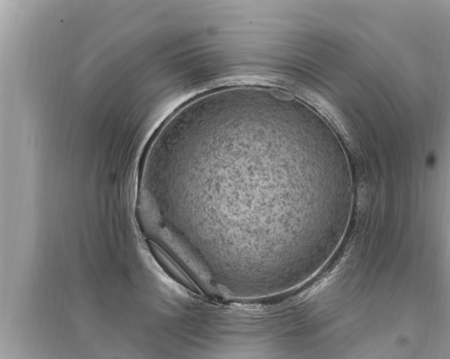 X0000095540844200712211346