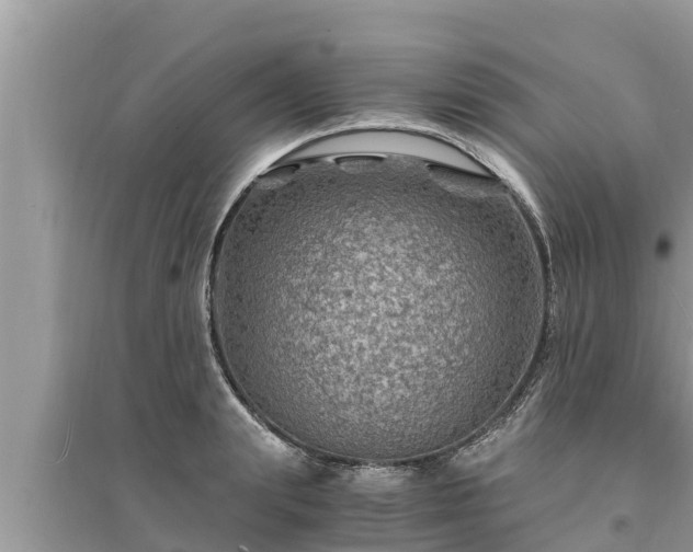 X0000095540847200712211346