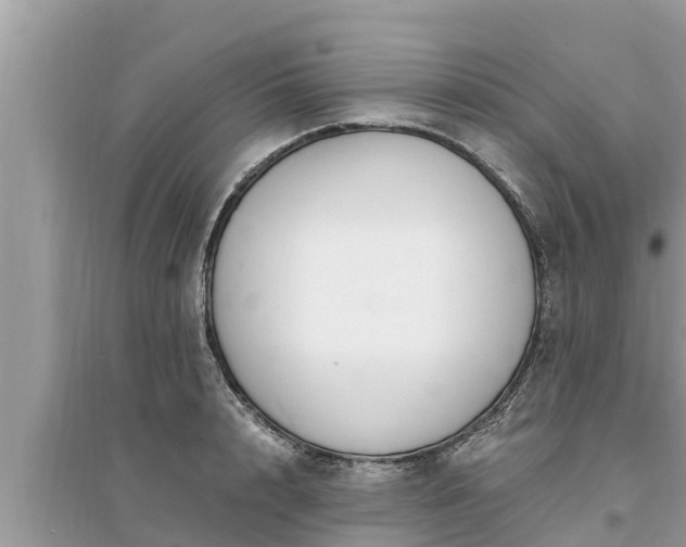 X0000095540848200712211346