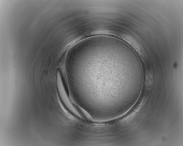 X0000095540849200712211346