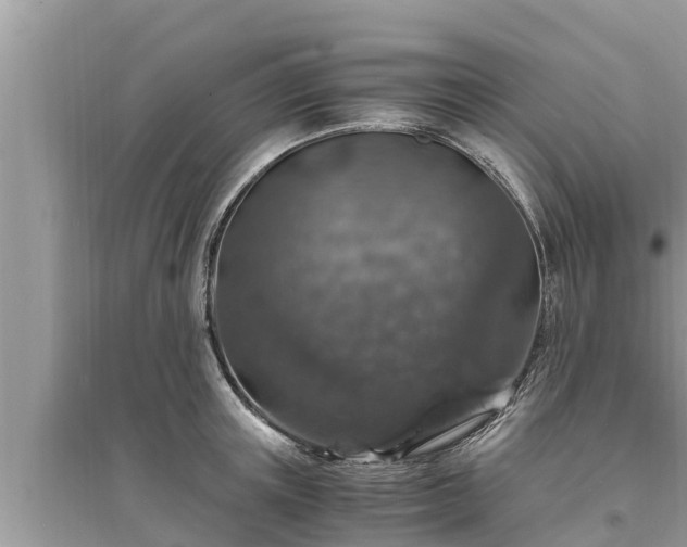 X0000095540851200712211346