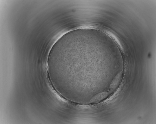 X0000095540852200712211346