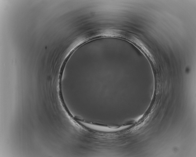 X0000095540853200712211346