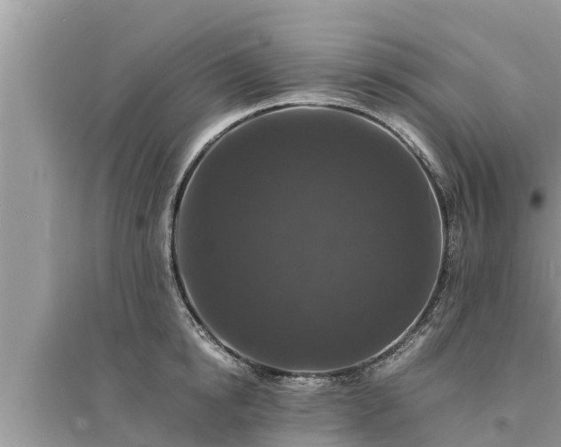 X0000095540854200712211346