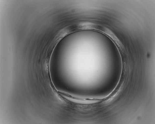 X0000095540857200712211346