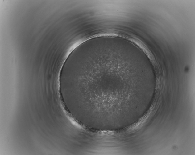 X0000095540858200712211346