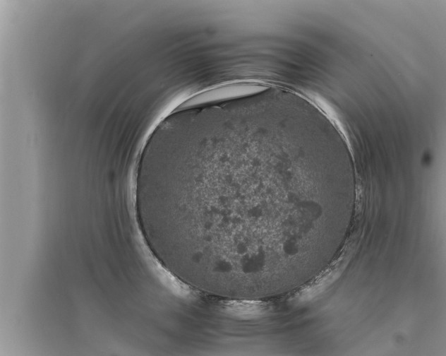 X0000095540859200712211346