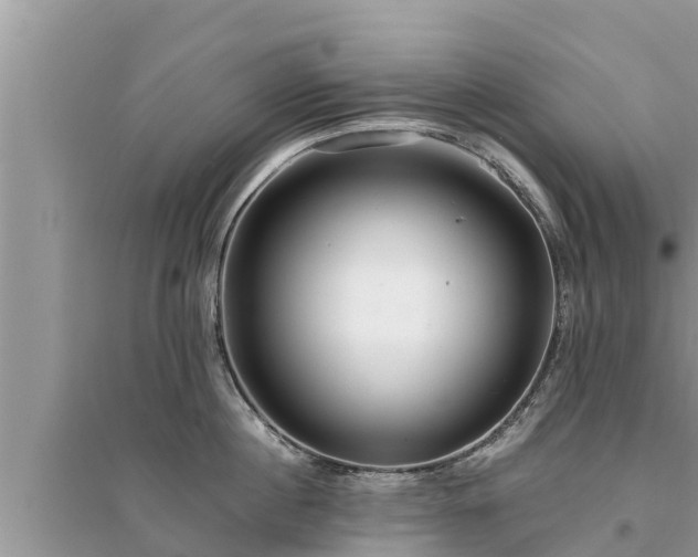 X0000095540860200712211346