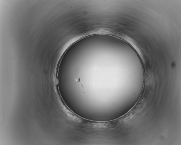 X0000095540861200712211346