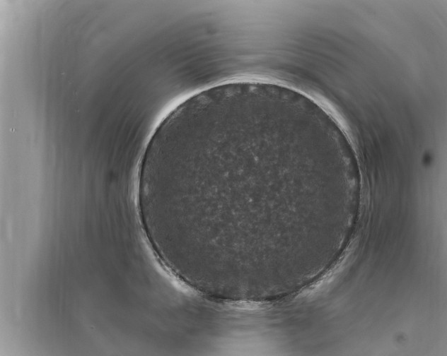 X0000095540862200712211346