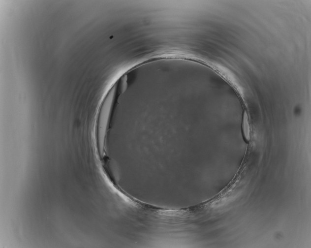 X0000095540863200712211346