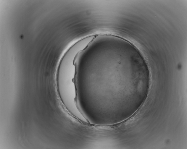 X0000095540864200712211346