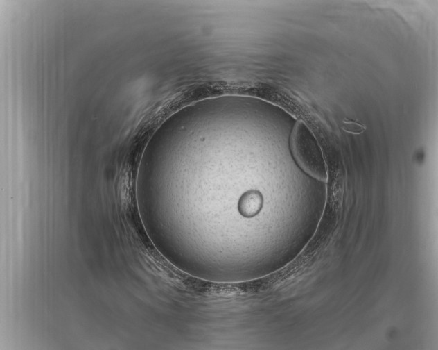 X0000095540866200712211345