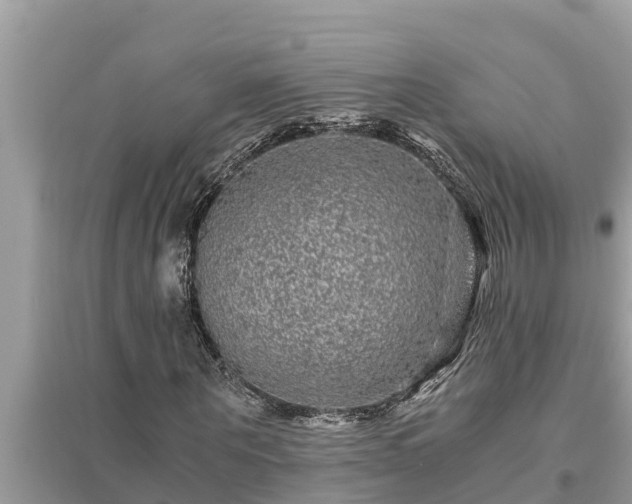 X0000095540867200712211345