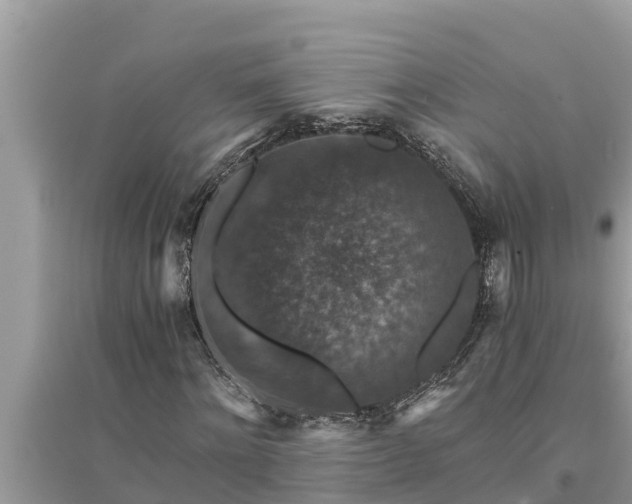 X0000095540868200712211345