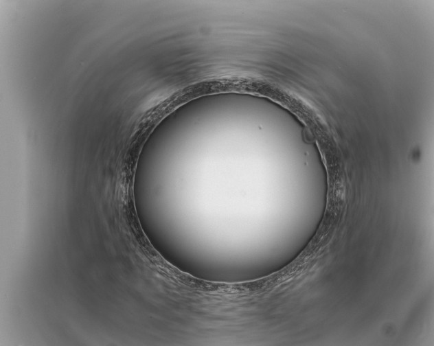 X0000095540869200712211345