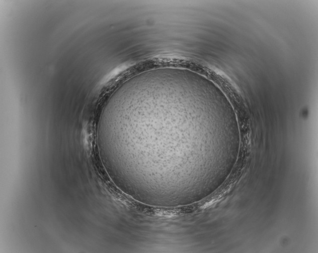 X0000095540870200712211345