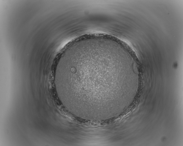 X0000095540871200712211345