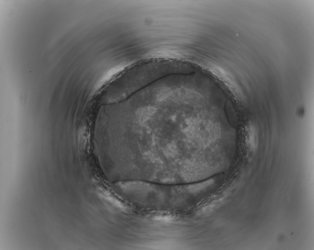 X0000095540872200712211345