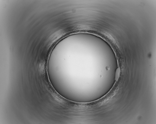 X0000095540873200712211345