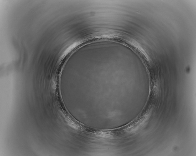 X0000095540874200712211345