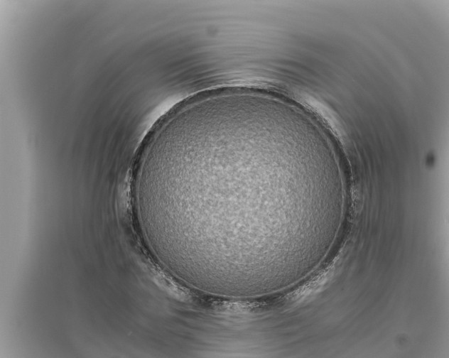 X0000095540875200712211345