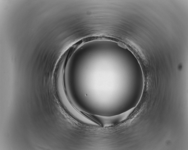 X0000095540876200712211345