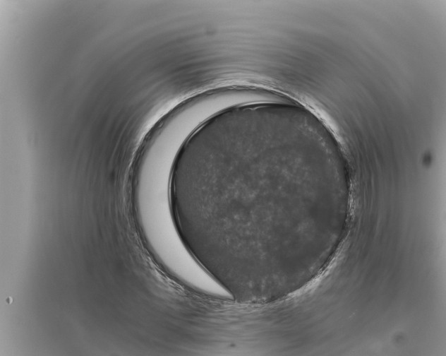 X0000095540877200712211345