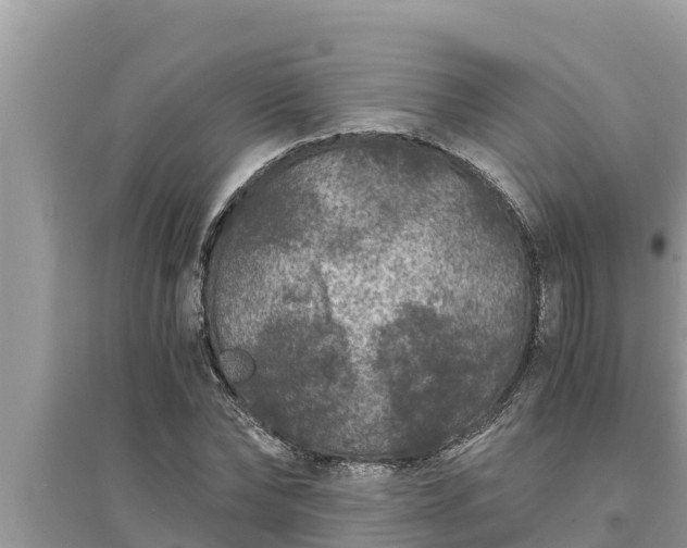 X0000095540878200712211345