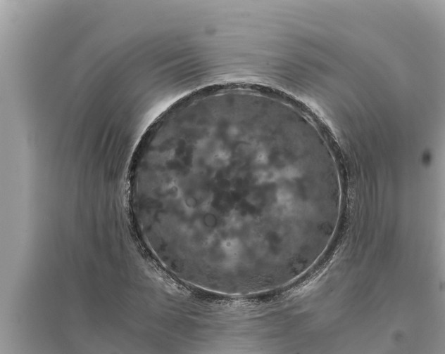 X0000095540879200712211345