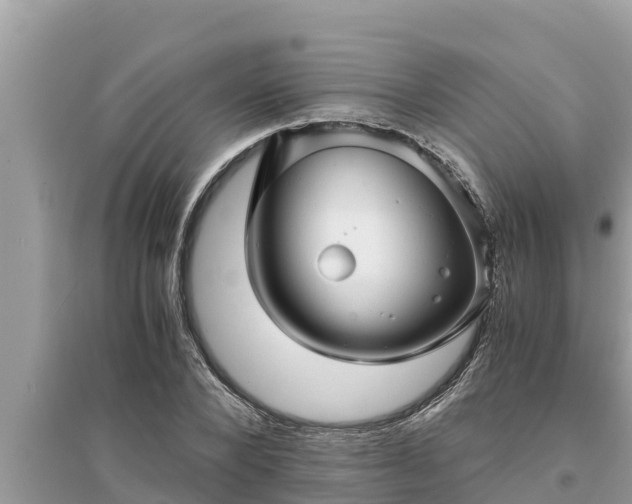 X0000095540880200712211345